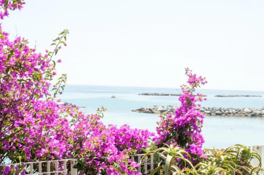 Narciso Centralissimo Sanremo Ngoại thất bức ảnh